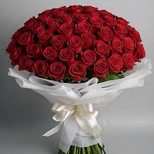 Букет 101 Красная роза Блэк Мэджик в Навле