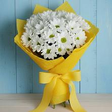 Букет цветов из:  Хризантемы #REPLACE_PRED# Навле