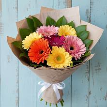 Букет цветов из:  Герберы #REPLACE_PRED# Навле