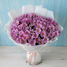 Букет цветов из:  Хризантемы #REPLACE_PRED# Навле