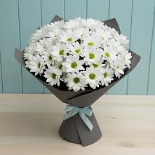 Букет цветов из:  Хризантемы в Навле