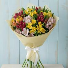 Букет цветов из:  Альстромерии в Навле