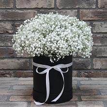 Цветочная композиция из Гипсофила в шляпной коробке #REPLACE_PRED# Навле