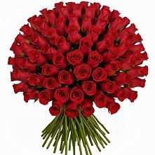 Букет Красные розы Чери Лав в Навле