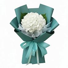 Букет цветов из:  Гортензия в Навле